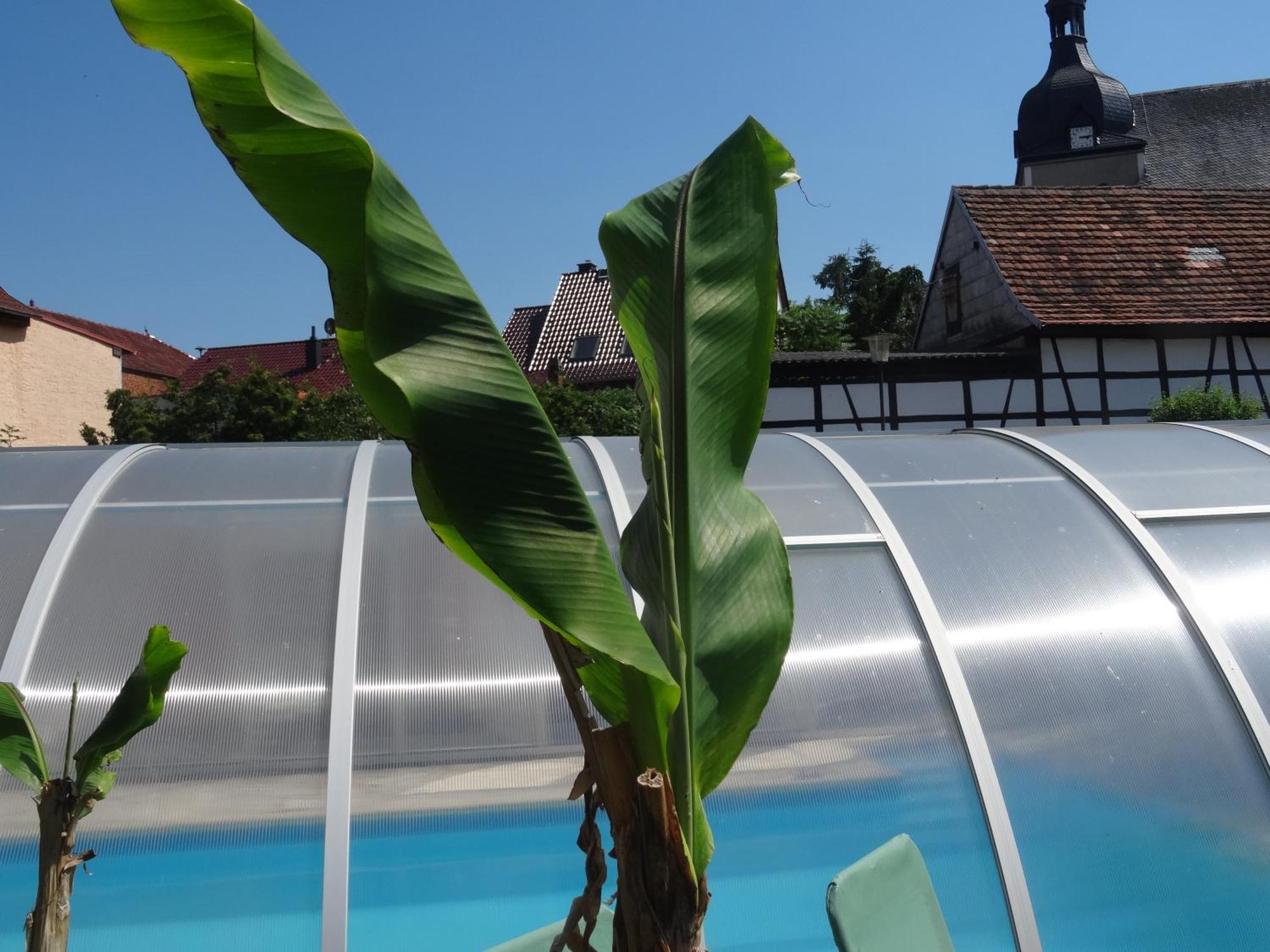 Pension Und Gaestehaus Paffrath Grossbrembach Екстер'єр фото